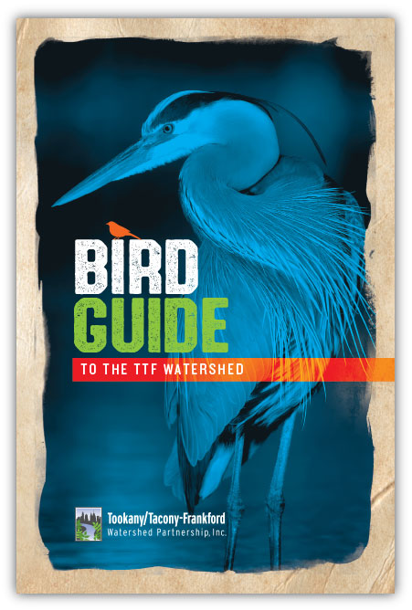 TTF Bird Guide Cover